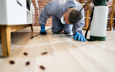 Exterminator applying pest control underneath a couch